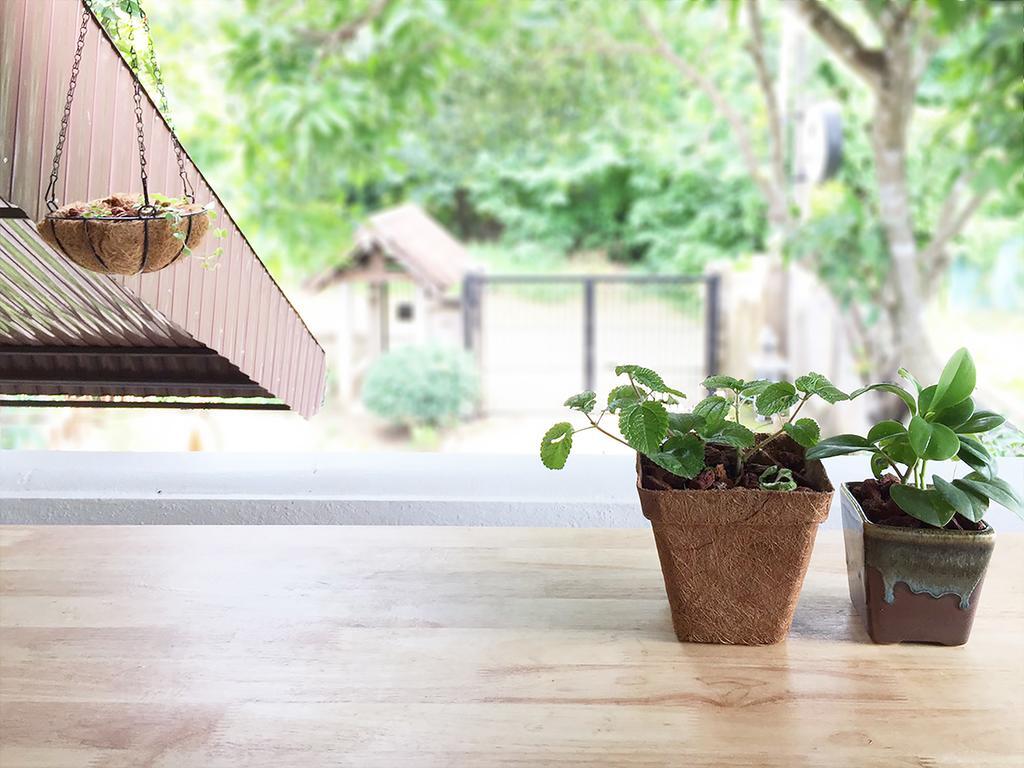 Squirrel Hostel Chiang Mai Extérieur photo